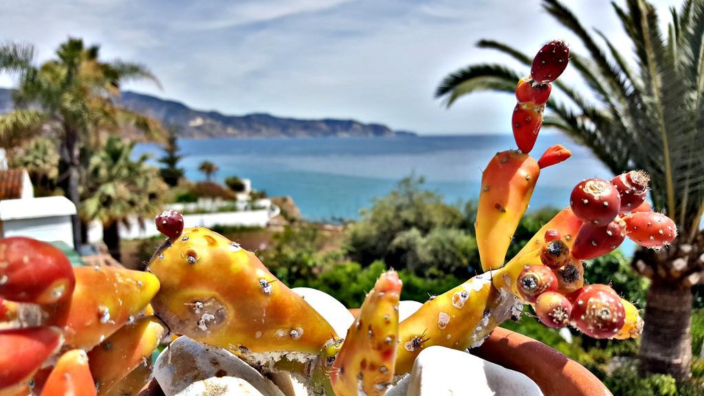 Villa Carabeo ネルハ エクステリア 写真